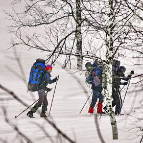 ���������� �� �����������