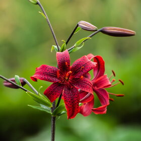 �������