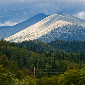 �������