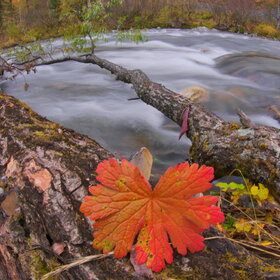 ���������� �� �����������