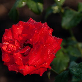 �������