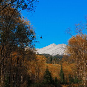 ���������� �� �����������