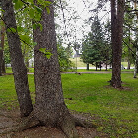 �������