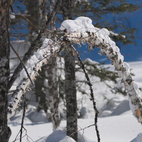 ���������� �� �����������