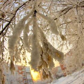 �������