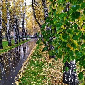 �������