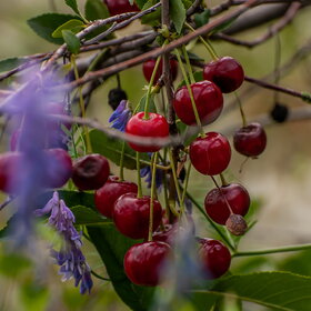 �������