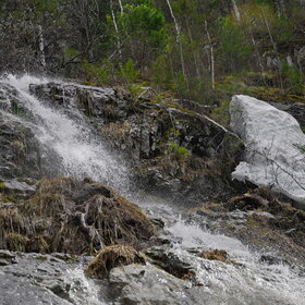 �������